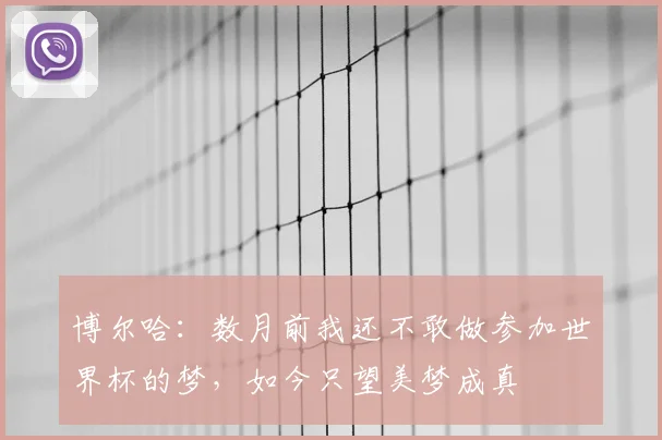 博尔哈：数月前我还不敢做参加世界杯的梦，如今只望美梦成真