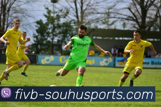 搜狐体育平台生态图